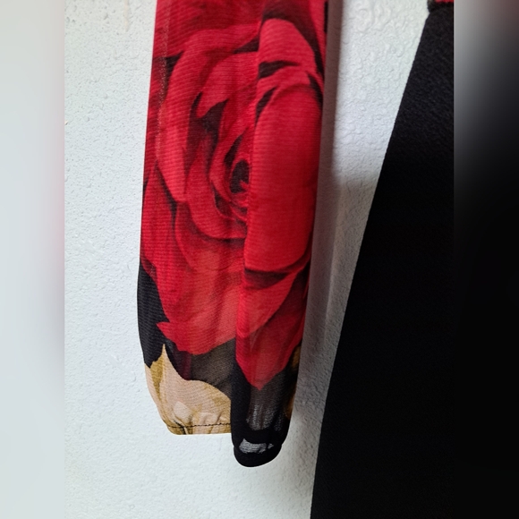 Red Roses Floral Mesh Dress - Picture 7 of 7